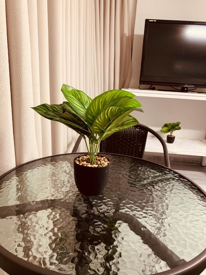 מיאר אירוח דרוזי Apartment Maghar ภายนอก รูปภาพ